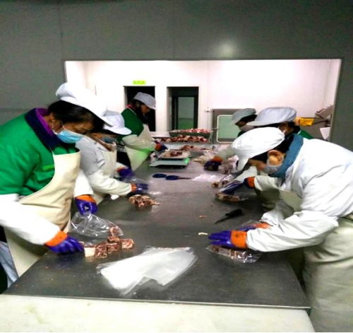 双十一加码精准扶贫 景泰电商农特产品销售燃爆，助力扶壮学校教育发展