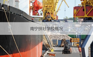 南宁市扶壮学校老师工资 南宁扶壮学校概况