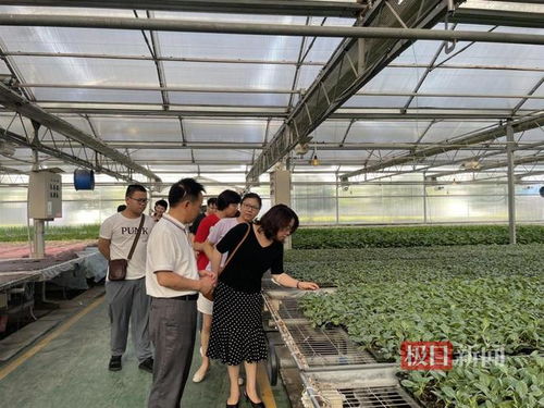 创意落地，智造未来 大学师生走进工厂，打通产品转化“最后一公里”